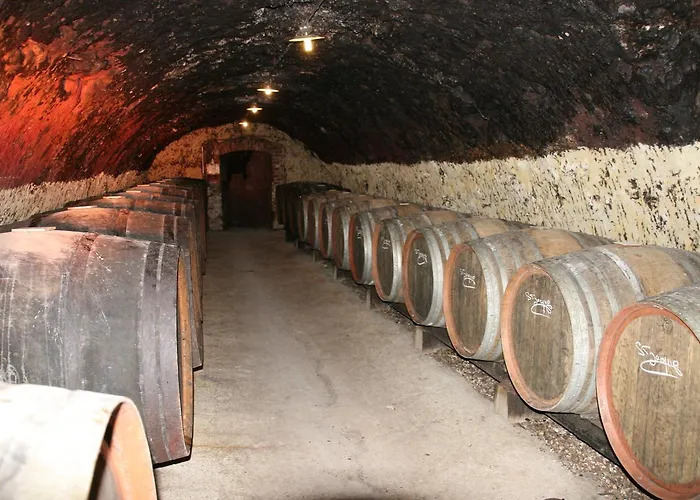 Bed & Breakfast D'hotes - Domaine Gigou 3*